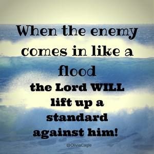 Meet your Posher, Wummy